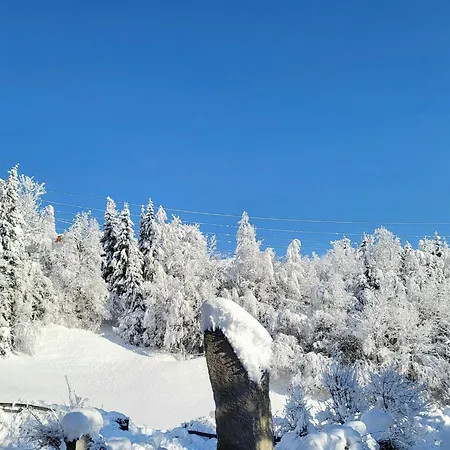 Lejlighed Penthouse Tauernfenster, Neukirchen