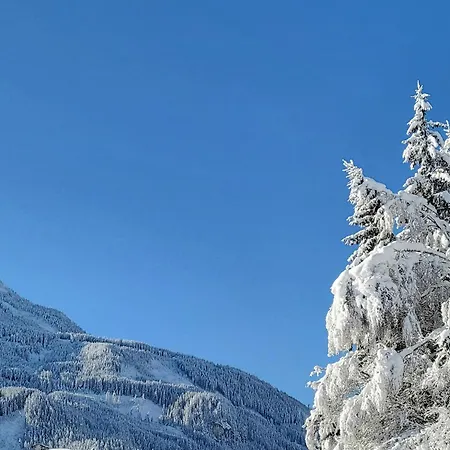 Apartman Penthouse Tauernfenster, Neukirchen *