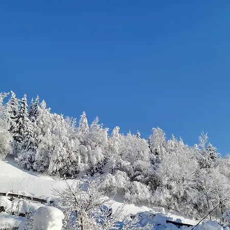 Penthouse Tauernfenster, Neukirchen *