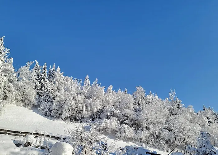 Penthouse Tauernfenster, Neukirchen *